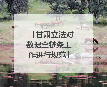 甘肃立法对数据全链条工作进行规范